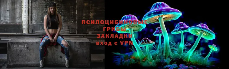 Галлюциногенные грибы Cubensis Кстово